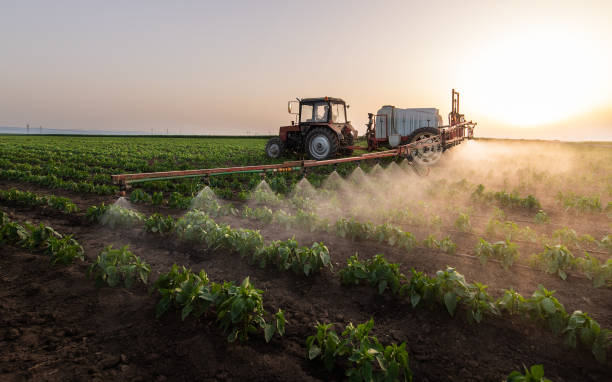 Pest Prevention Services in K I Sawyer, MI