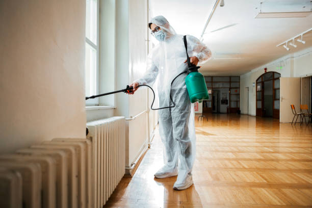 Best Ant Control Services  in K I Sawyer, MI